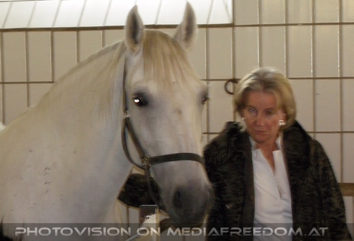 Im Gest�t 13: Elisabeth G�rtler