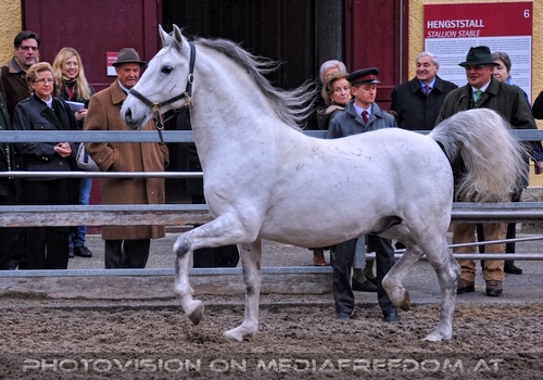 F�hrung 05: Elisabeth G�rtler,Max Dobretsberger