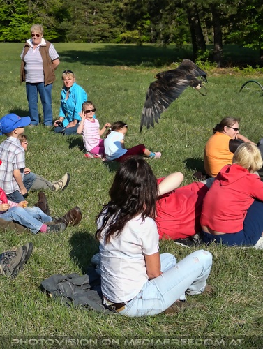 Adler �berflug: Eva D.