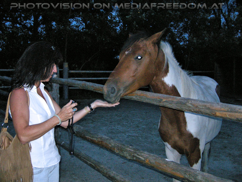 50th independence Birthday 17