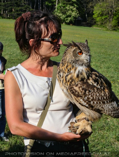 Die Falknerin und ihr Uhu