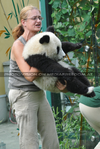 Buuh, bist du schon schwer