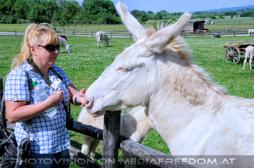 Mit wei�en Esel 05: Gabriele P.