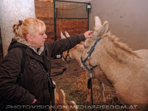 Stallungen 08: Gabriele P.