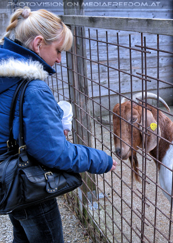 Nat�rlich Christkindl 07