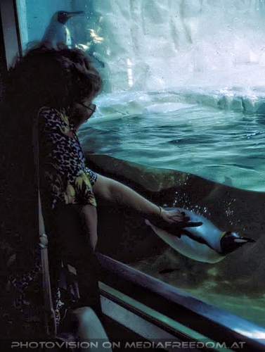 Bei den Pinguinen: Gertrude Swoboda