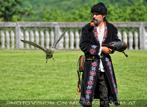 Greifvogel Vorf�hrung 06