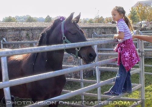 Kaiserliches Fest 09