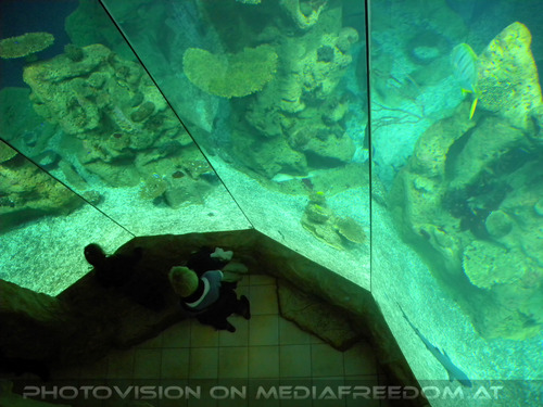 Aquarium
