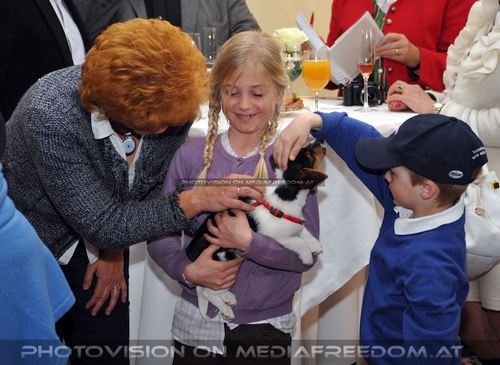 Club der Freunde des Lipizzanergest�ts 23