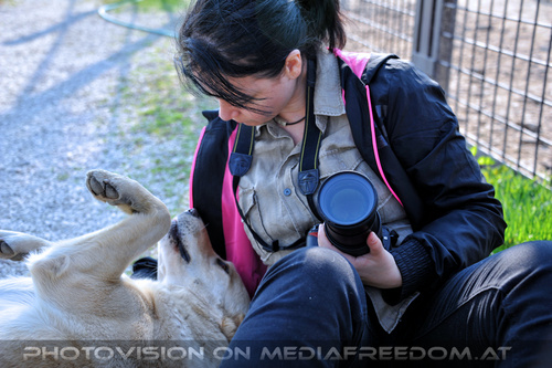 Dog Friend 02: Katerina Mirus