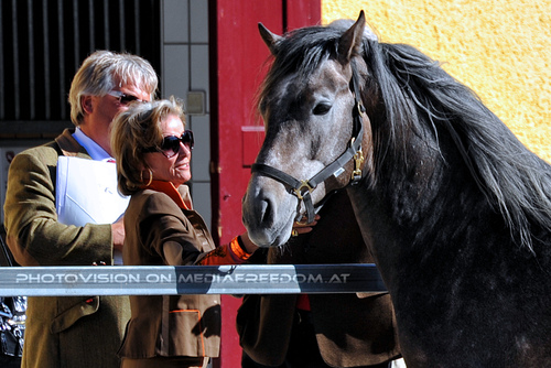 Lipizzaner Heimat 56: Max Dobretsberger,Elisabeth G�rtler