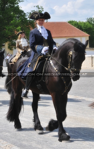 Stolze Friesen Reiterin