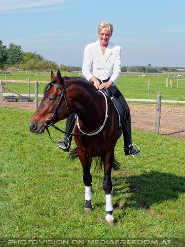 Die Pferdeshow 16 - Stuntreiter