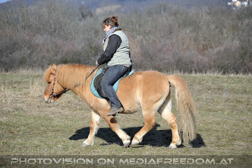 Pony reiten