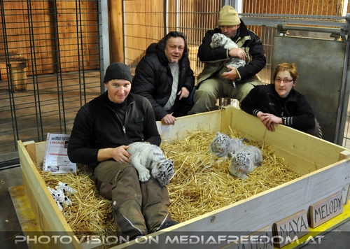 Die wei�en Tiger Vierlinge 52: Rainer Z�chling,Charly Swoboda,Herbert Eder,Romana Goldhahn