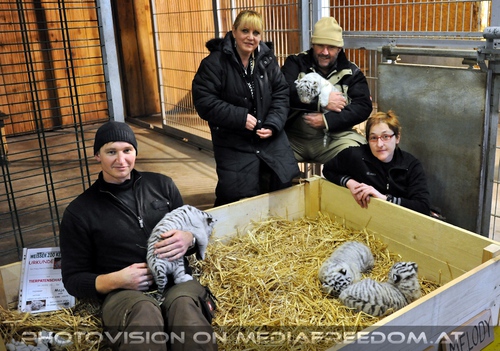 Die wei�en Tiger Vierlinge 55: Rainer Z�chling,Gabriele P.,Herbert Eder,Romana Goldhahn