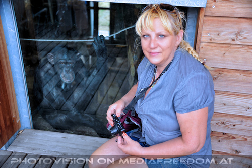 Affen Station 22: Schimpansen,Gabriele P.