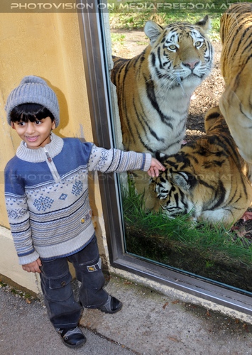 Freude mit den Zoo Stars