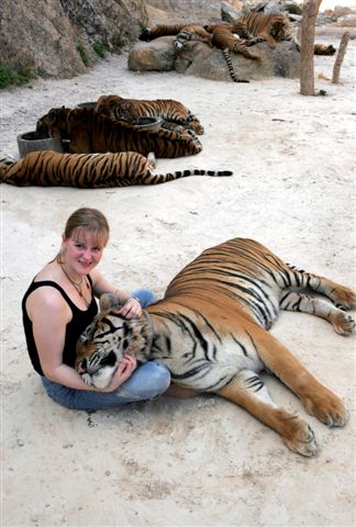 Wer ist das liebste K�tzchen???