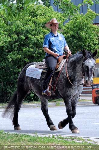 Rund um Mensch und Tier 09