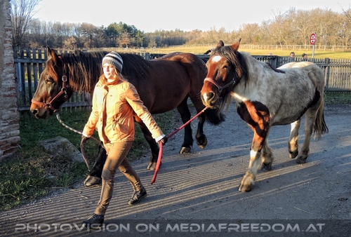 Advent im Schloss 20