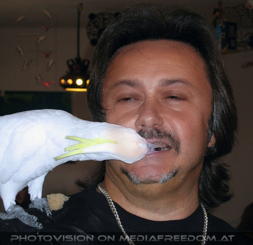 1000 sch�ne Dinge 11