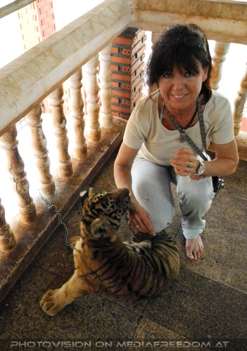 The B-Day of the Tigerman Pix 007