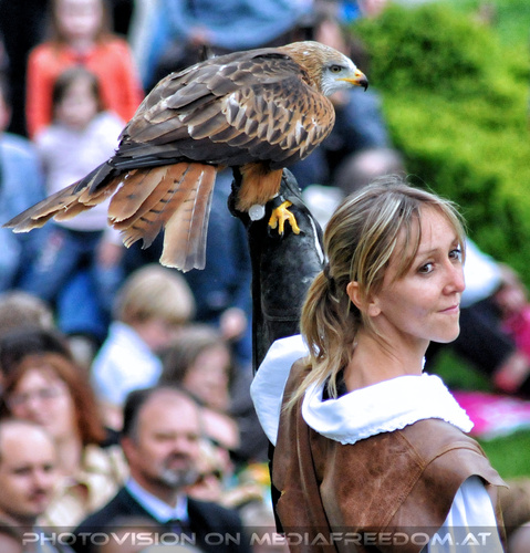 Historische Falknerei 31