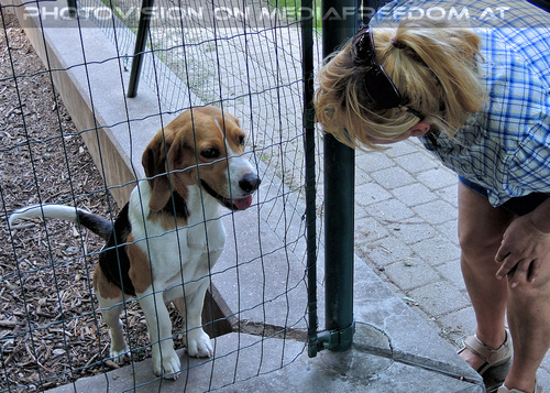 Rund um Mensch und Tier 28: Gabriele P.