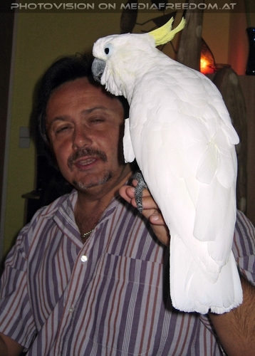 Blue-eyed lullaby 05