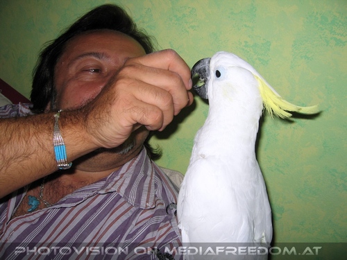 Blue-eyed lullaby 27: Charly Swoboda,Elvis der Kakadu