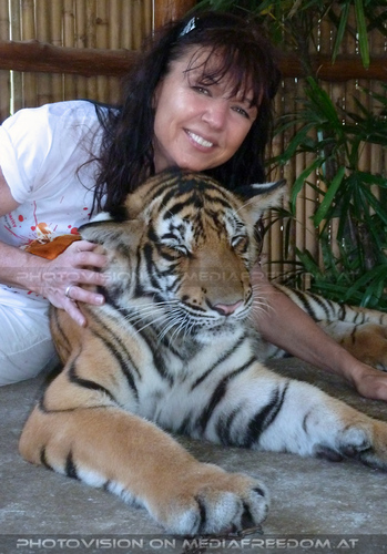 Tiger Visit 16: Eva D.