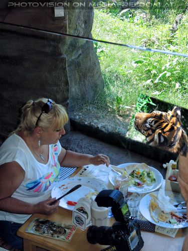 Restaurace u Tygra 2