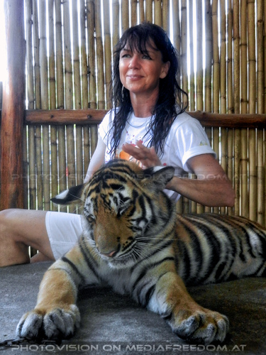 Tiger Visit 17: Eva D.