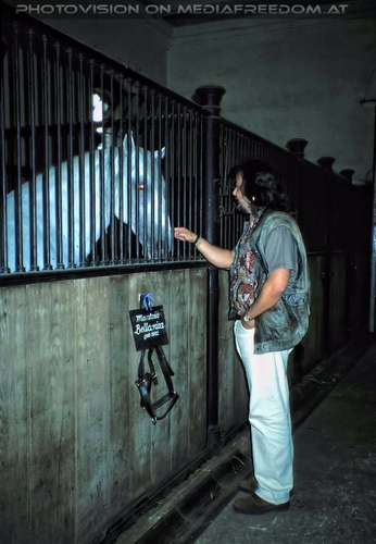 Lipizzaner Sommerquartier 5