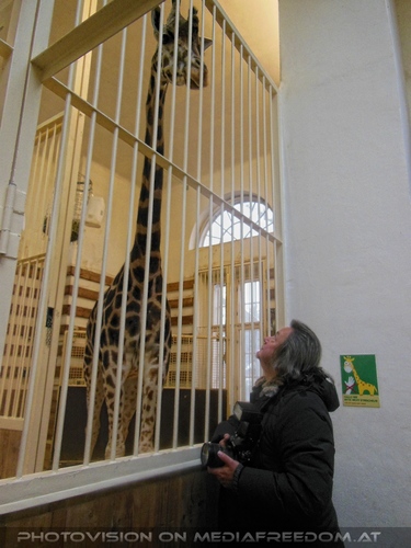 Im Giraffenhaus 2: Charly Swoboda