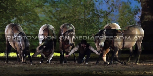 Magische Begegnungen 38