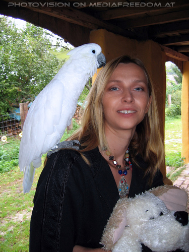 1000 sch�ne Dinge 19: Elvis der Kakadu,Doris R.