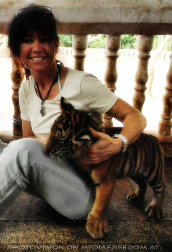 The B-Day of the Tigerman Pix 017