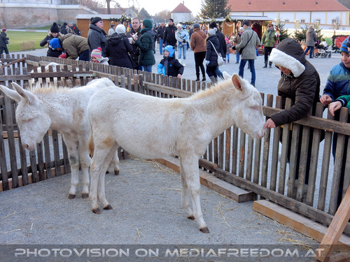 Krippen 09: Gabriele P.