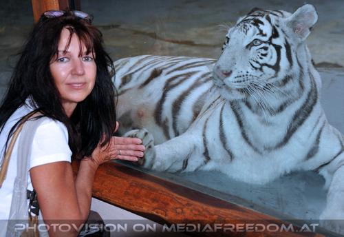 Wei�e Tigerfamilie 04: Eva D.