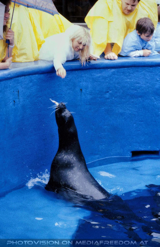 Sea World 02