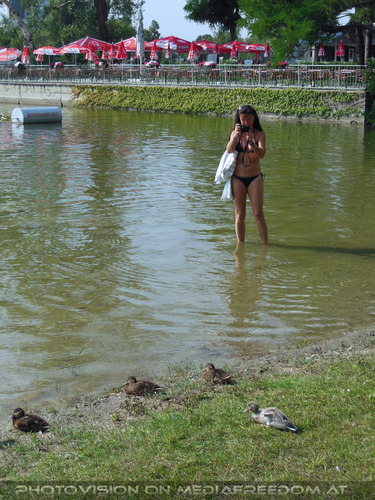 Am Wasservogelstrand 23