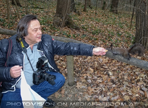 Eichk�tzchen f�ttern 05