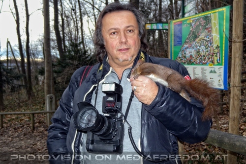 Eichk�tzchen f�ttern 11: Charly Swoboda