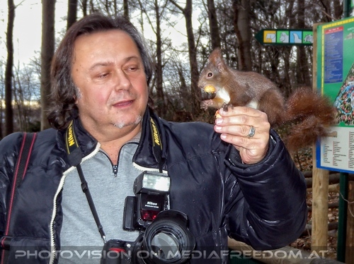 Eichk�tzchen f�ttern 13