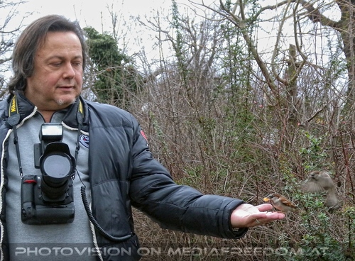 V�gel f�ttern 02