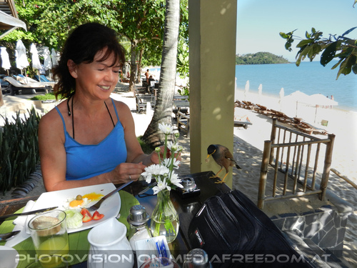 Peace Resort Morning 23