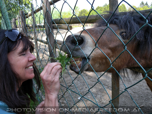 Zu den Pferdekoppeln 4
